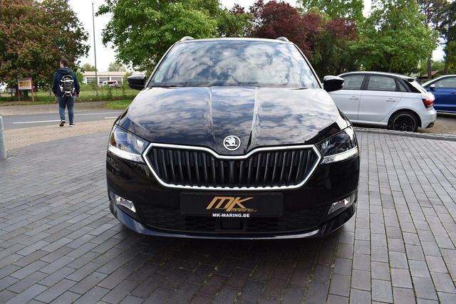 Fahrzeugabbildung SKODA Fabia Combi 1.0 TSI DSG STYLE*INDIVIDUAL*NAV*LED